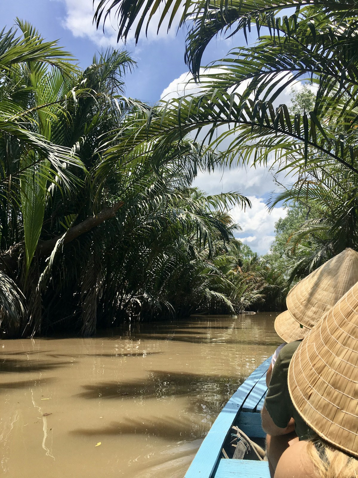 Travellers exploring a palm-lined waterway by boat in the Mekong Delta